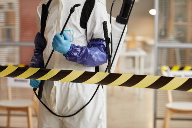 Professional Sewage Cleanup technician working in Mountain City, TN